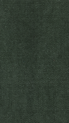 Tissu Lin sauvage