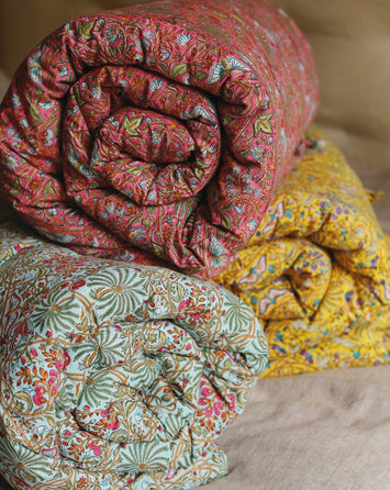 Collection Papilio