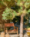 Fauteuil Macha