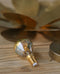 Ampoule doré pour vos appliques murales