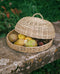 Cloche Salva