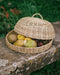 Cloche Salva