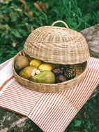 Cloche Salva