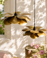 Suspension Cosmos