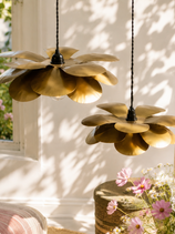 Cosmos Suspension
