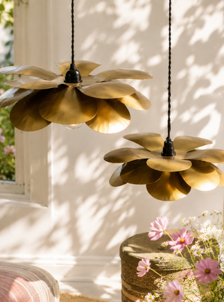 Cosmos Suspension