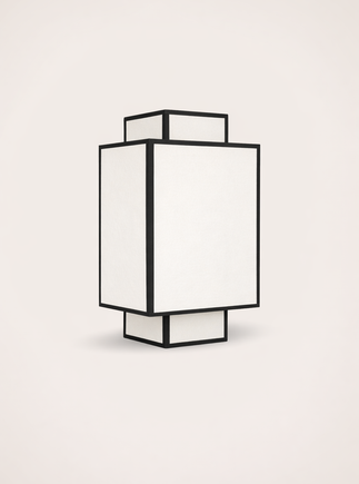 Ion wall light