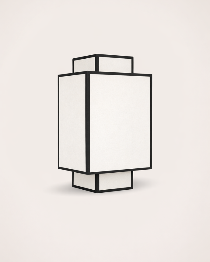 Ion wall light