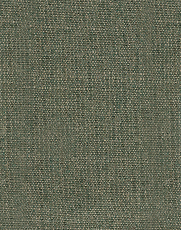 Échantillon tissu Anatole