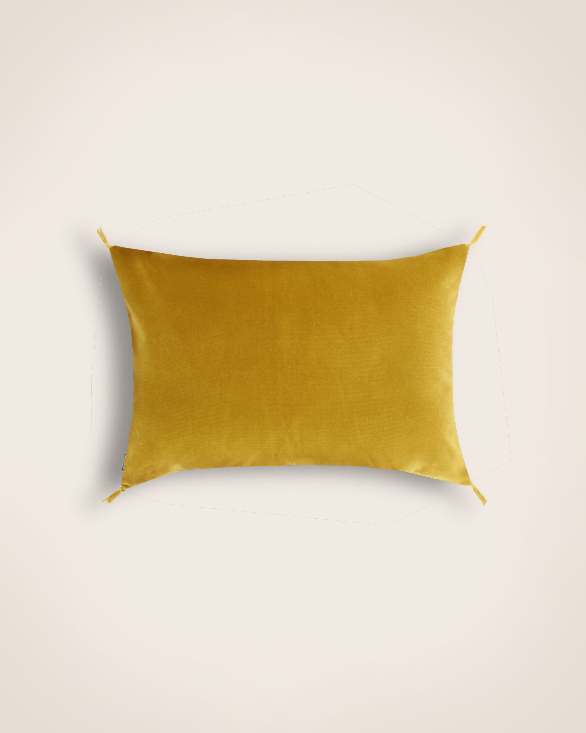 Housse de coussin Smooth