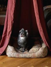 Panier pour chien