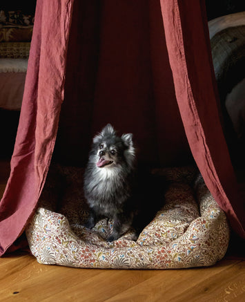 Dog basket
