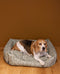 Dog basket