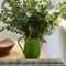 Vase en agile vert