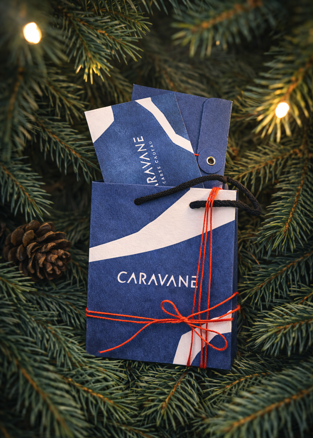 Carte cadeau