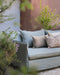 Daybed Holi