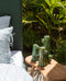 Set de 2 taies d'oreiller Dalia