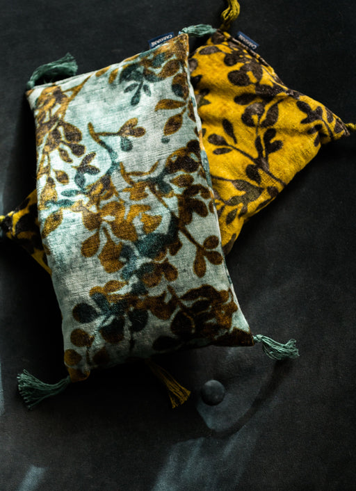 Noyaux de cerise Foglia