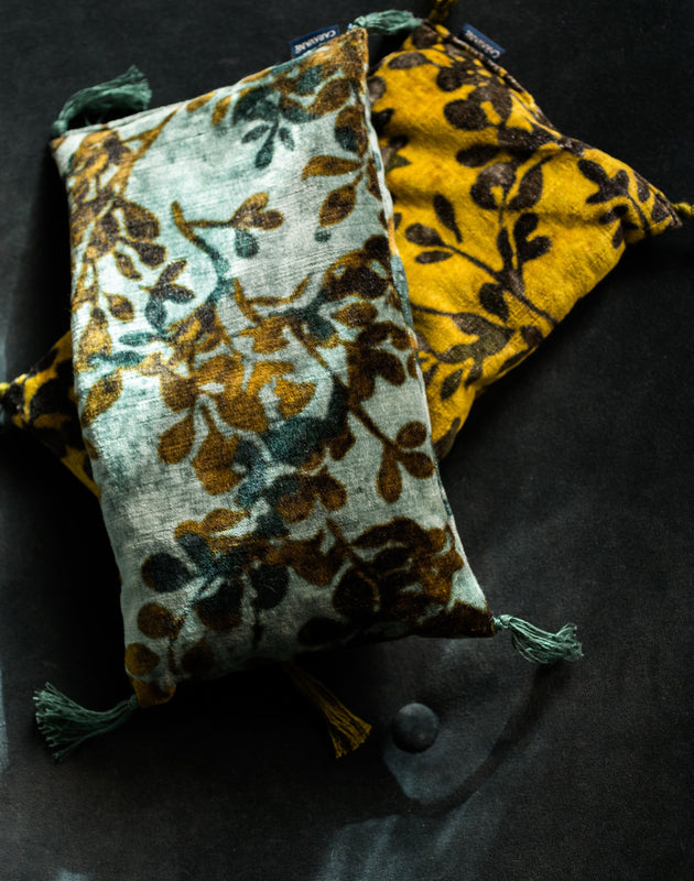 Noyaux de cerise Foglia