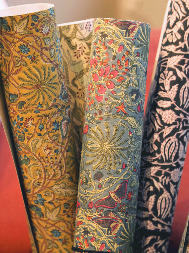 Papier Peint Papilio glacier