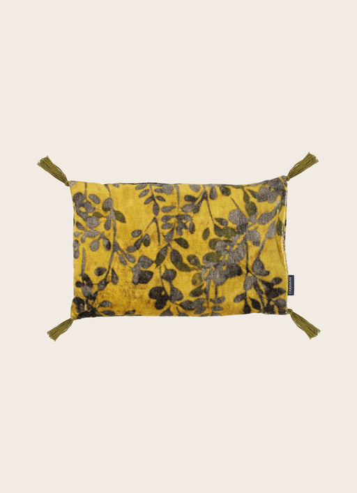 Noyaux de cerise Foglia