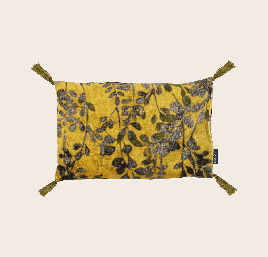 Noyaux de cerise Foglia