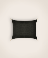 Washed velvet cushion cover