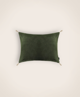 Washed velvet cushion cover