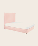 Holi Headboard and Box Spring Cover