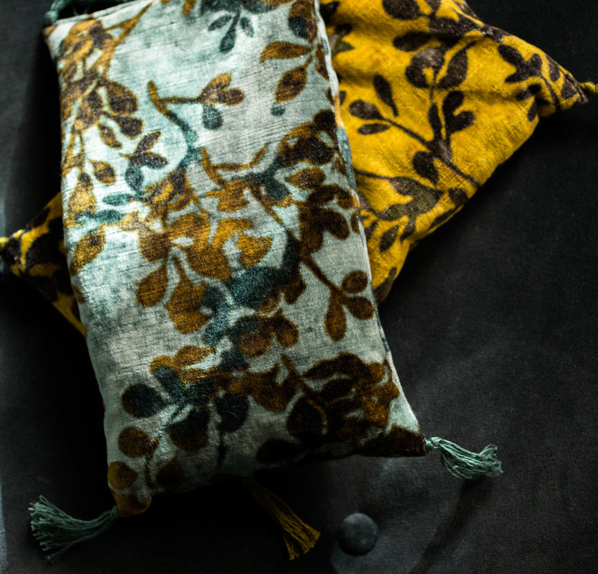 Noyaux de cerise Foglia