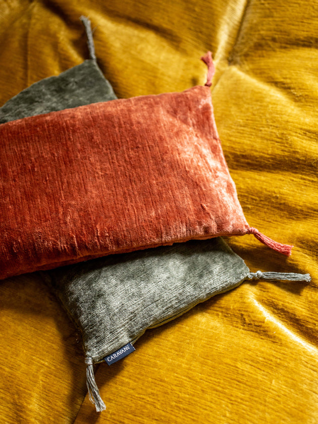 Noyaux de cerise Vellino