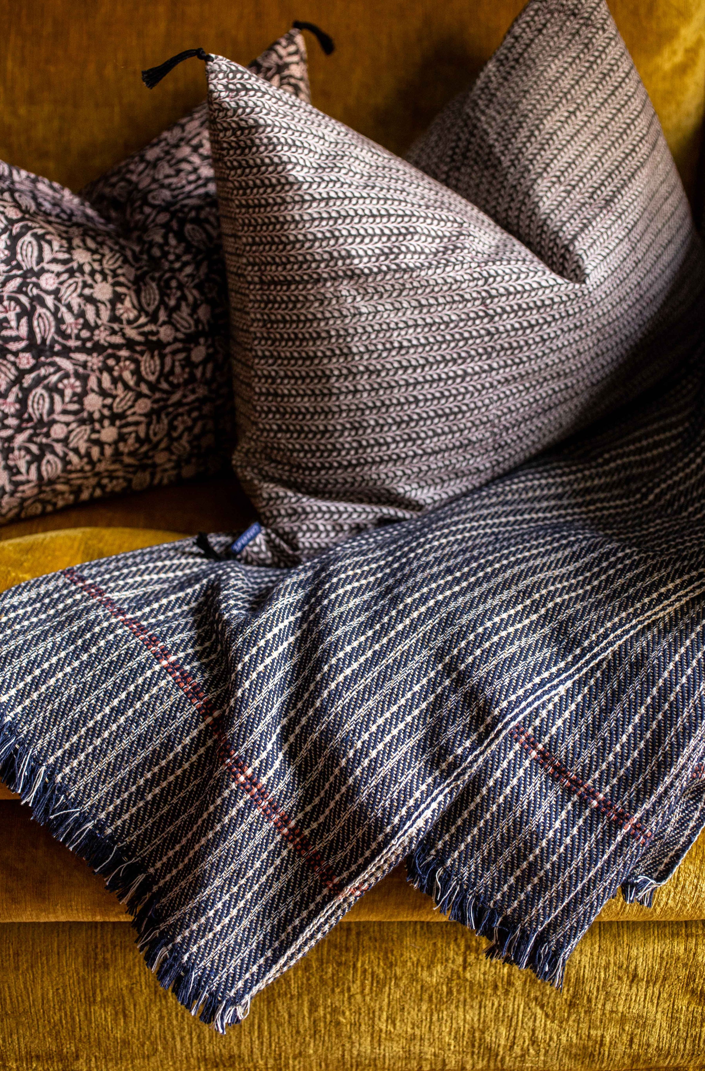 Plaid Herringo