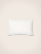 Intérieur de coussin
