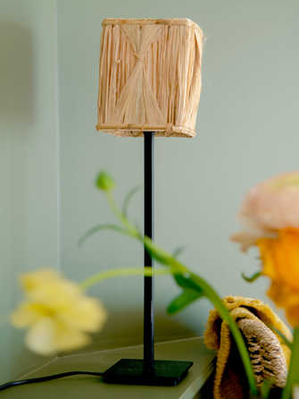 Tara Munja table lamp
