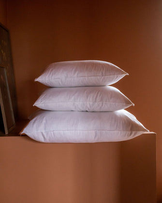 Intérieur de coussin en plume