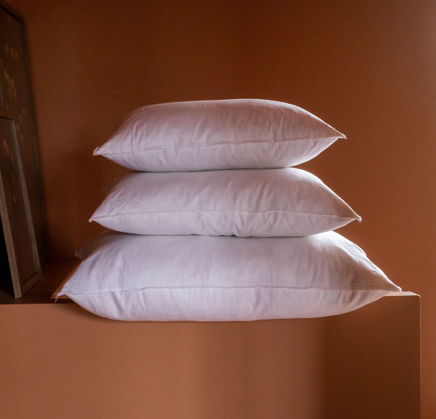 Intérieur de coussin en plume