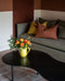 Niski coffee table