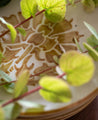 Assiette Neve