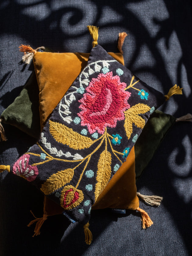 Mysore cherry stones