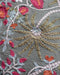 Papilio cushion cover