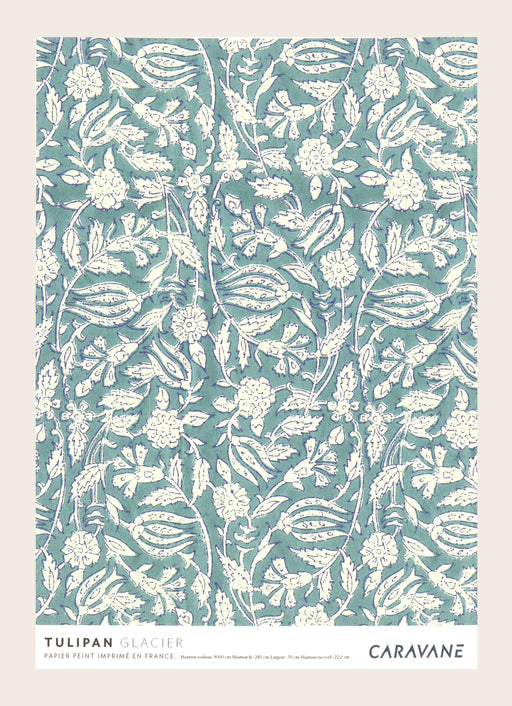 Wallpaper Tulipan Glacier