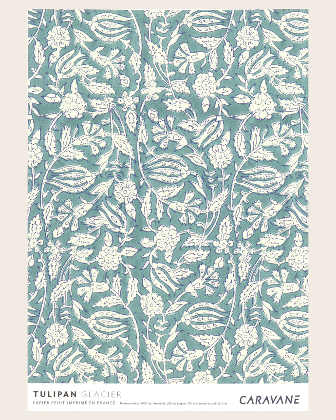 Wallpaper Tulipan Glacier