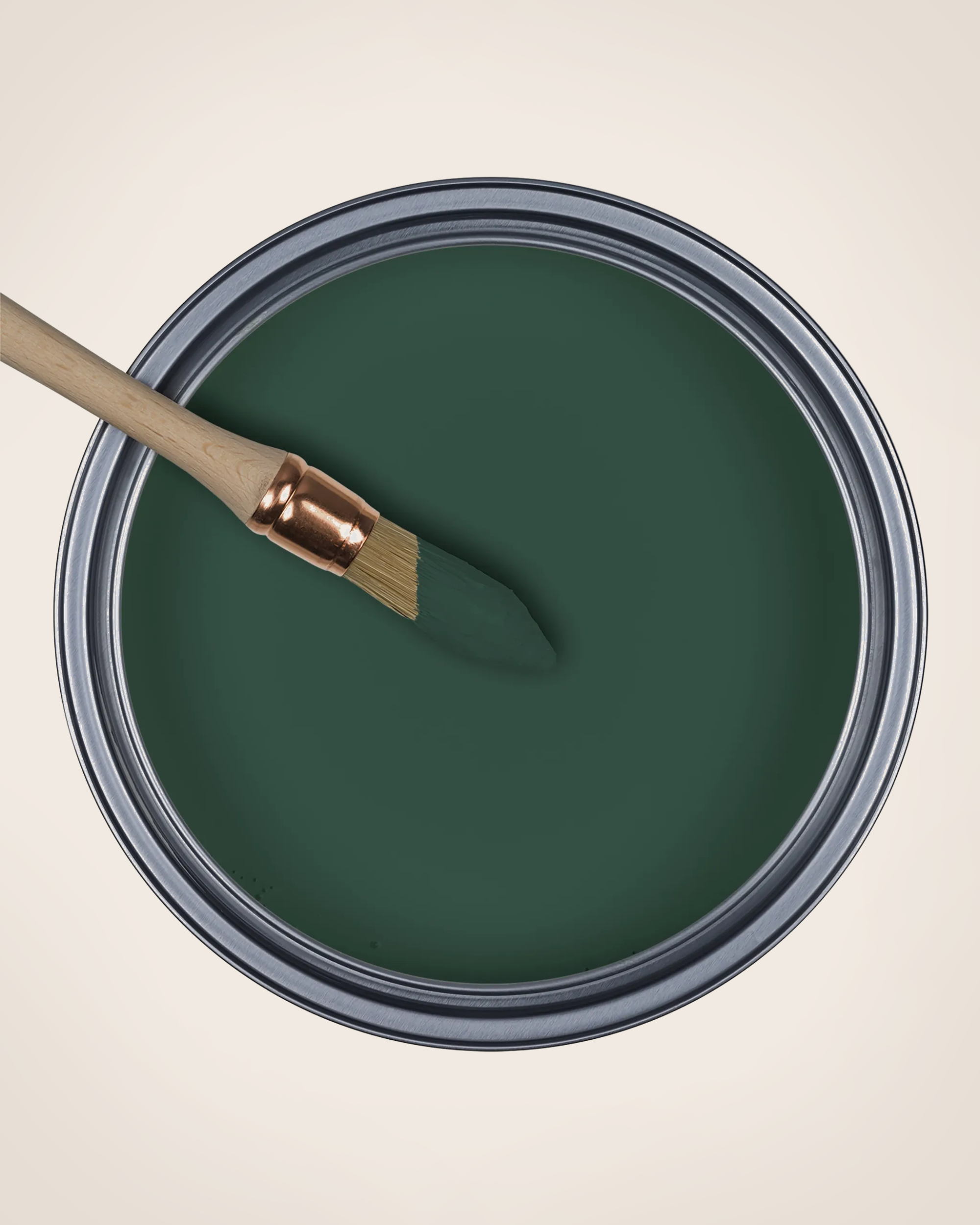 Paint La Canopée