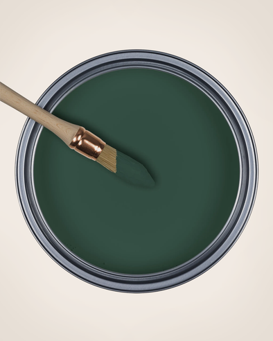 Paint La Canopée
