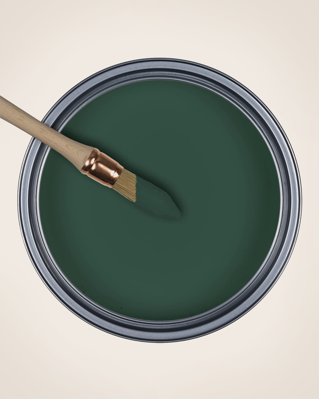 Paint La Canopée