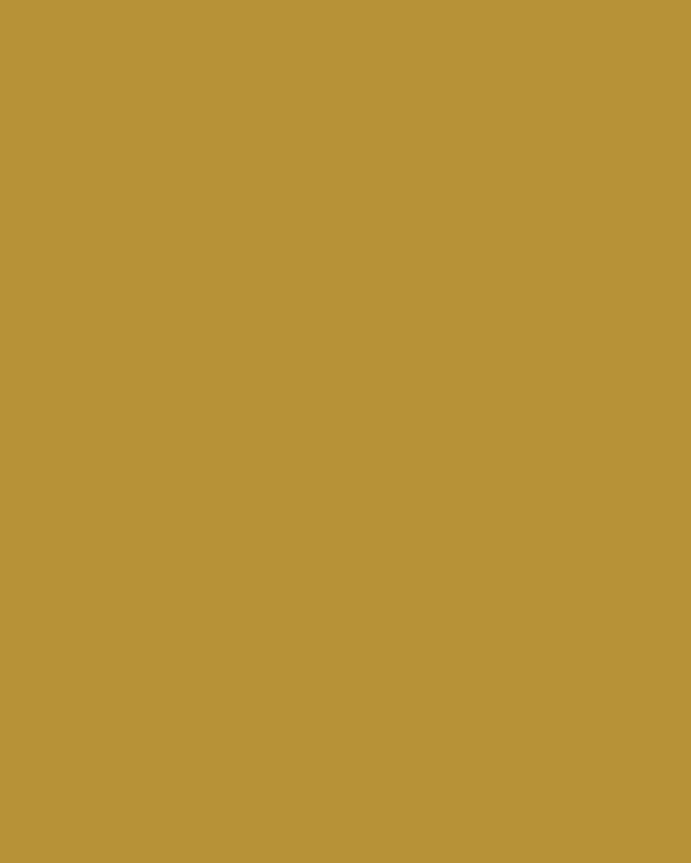 Ressource Paint Samples