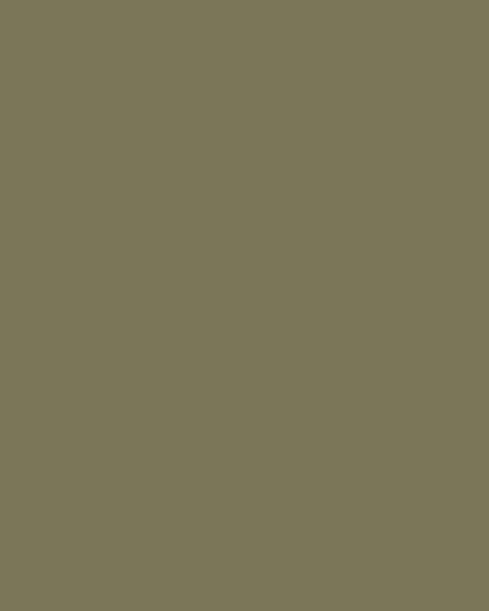 Paint L'Olivette