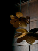 Suspension Cosmos Fleurs en métal doré qui diffuse une lumière dorée