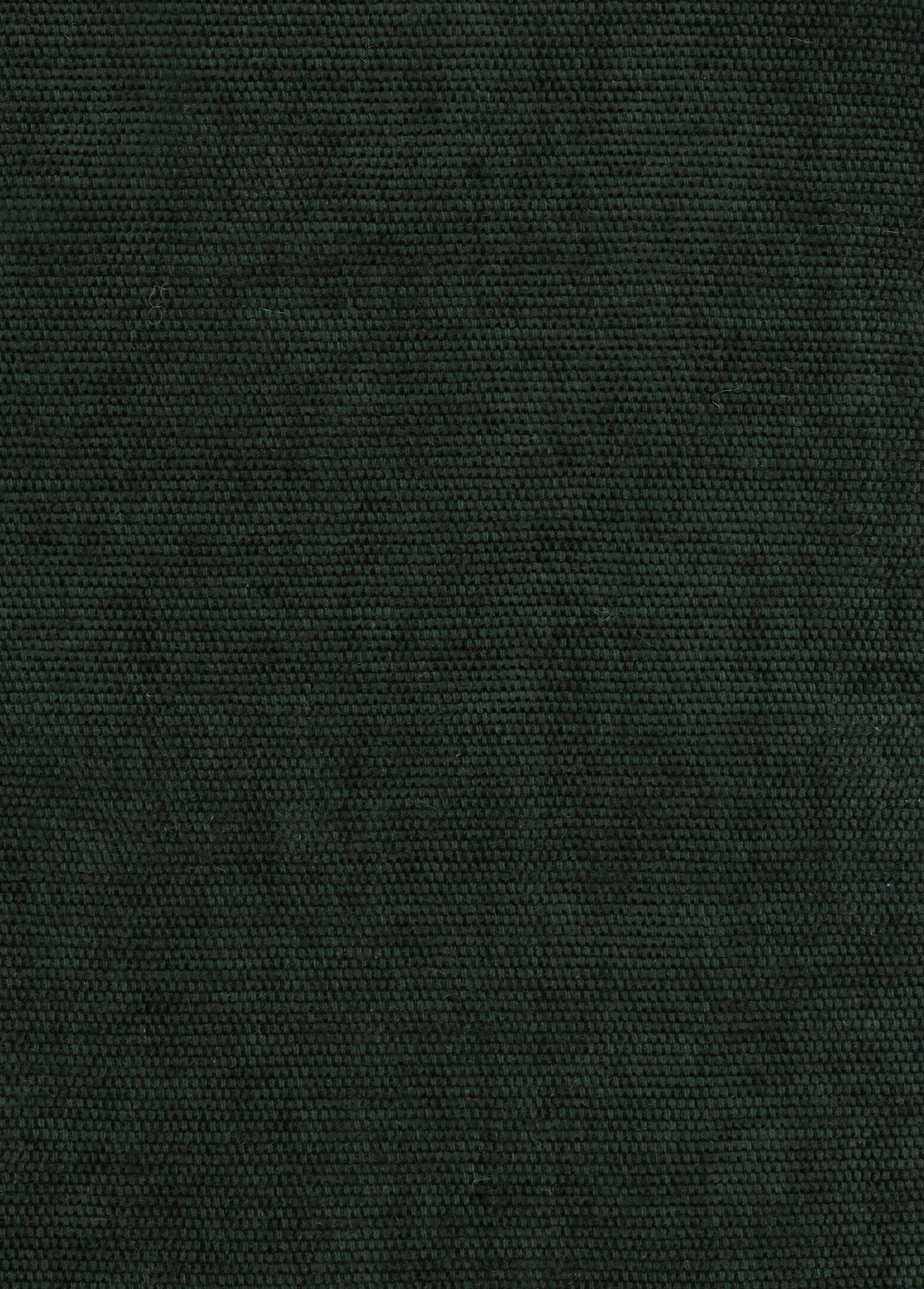 Samba fabric sample