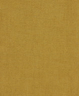 Échantillon tissu Samba
